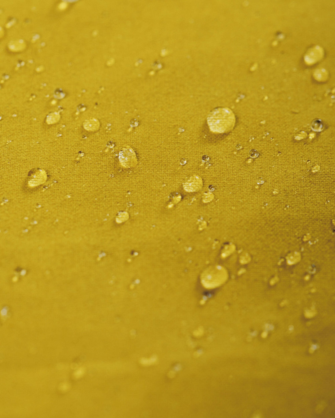 Dry Wax Oak Cap - Chartreuse